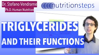 Triglycerides and How to Lower Them [upl. by Liebowitz]