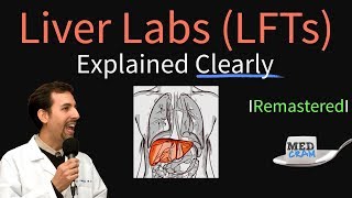 Liver Function Test Interpretation LFTs  Liver Enzymes Remastered Bilirubin GGT Alk Phos [upl. by Esylle]