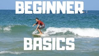 Learn How To Surf In 10 Minutes [upl. by Ecilayram408]