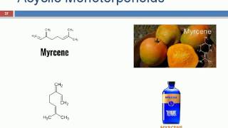 Terpenoids ppt [upl. by Spencer]