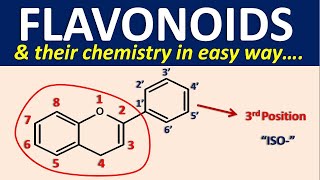 Flavonoids and their chemistry in easy way [upl. by Kilam211]