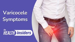 Varicocele Symptoms and Causes [upl. by Kingsbury93]