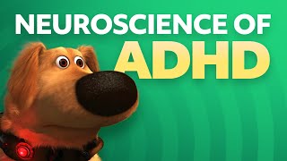 Neuroscience of ADHD [upl. by Ondrea794]