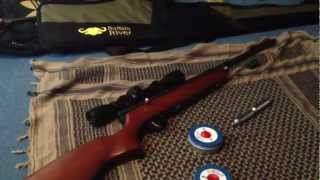 SMK QB78 DL air rifle review [upl. by Harutek44]