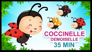 Coccinelle demoiselle  Comptines pour les petits  Titounis [upl. by Malo317]