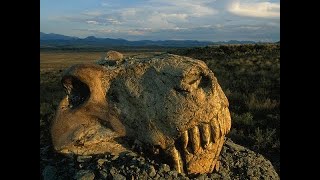 Fireball Earth The Permian Extinction  History Documentary ✔ [upl. by Dryfoos]