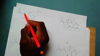 How to identify a Terpene and its isoprene units [upl. by Imiaj]