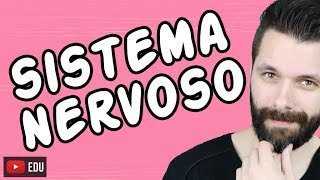 SISTEMA NERVOSO  FISIOLOGIA  Aula  Biologia com Samuel Cunha [upl. by Clotilde]