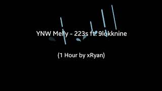 YNW Melly  223s ft 9lokknine 1 HOUR [upl. by Risan]