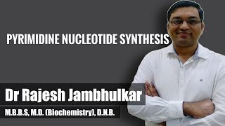 Pyrimidine nucleotide synthesis and degradation [upl. by Heng]