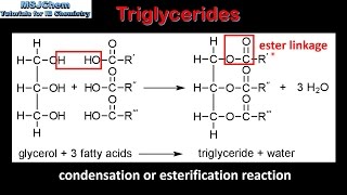 B3 Triglycerides SL [upl. by Sofie]