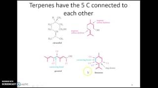 terpenes [upl. by Frohne]