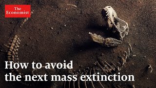 Mass extinction what can stop it [upl. by Hadeehsar224]