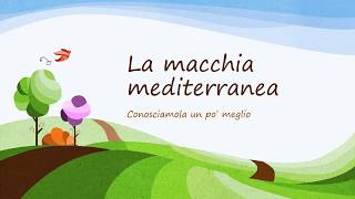 La macchia mediterranea spiegata ai bambini dellinfanzia 36 anni [upl. by Ecilef]