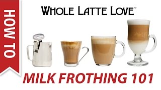 Milk Frothing for Beginners [upl. by Naillil]