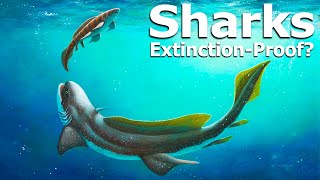 How Did Sharks Survive So Many Mass Extinctions [upl. by George]