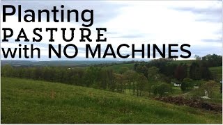 How to Seed a Pasture  Planting a Pasture from Scratch with NO MACHINES [upl. by Silvan]