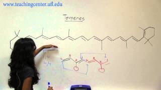 Recognizing Terpenes [upl. by Chane]