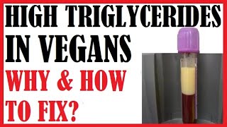 High Triglycerides  10 Tips To Identify Prevent and Treat [upl. by Dnomyar]