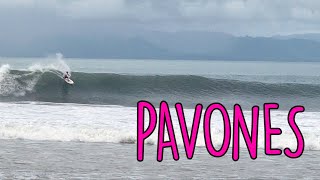 Perfect day Pavones  Costa Rica 16 August 2021 RAW [upl. by Chemosh]