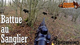 Chasse au sanglier en battue  Tir de Sangliers [upl. by Connor]