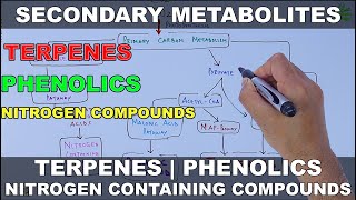 Secondary Metabolites [upl. by Akinwahs]