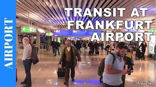 TRANSIT WALK AT FRANKFURT Airport FRA Terminal 1  Connection Flight Transfer Arriving amp Departing [upl. by Semela461]