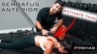 The BEST Serratus Anterior Exercises [upl. by Carita372]